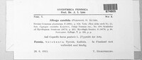 Image Associated With the Occurence